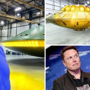 Elon Musk: ‘Tesla’s New 700mph Vehicle Will Outpace Boeing 747!’