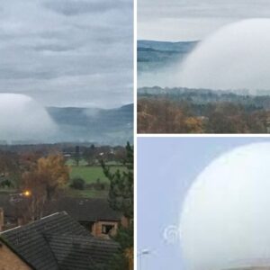 UFO Spotted Over Japan: Witnesses Claim to See Advanced Camouflage Technology!