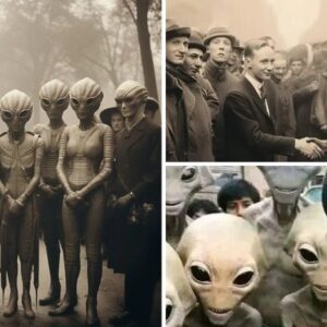 The Hidden Alliance of 1868: Unveiling the Secret of Human-Alien Cooperation.