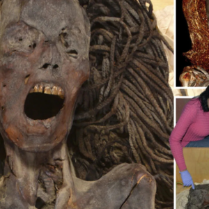 Face of 3,500-year-old ‘screaming mummy’ revealed as reconstruction shows chilling expression of Egyptian on death bed Face of 3,500-year-old ‘screaming mummy’ revealed as reconstruction shows chilling expression of Egyptian on death bed