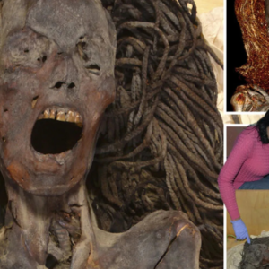 Face of 3,500-year-old ‘screaming mummy’ revealed as reconstruction shows chilling expression of Egyptian on death bed