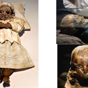 Mummies of the World: an exhibition at the California Science Centre in Los Angeles, in pictures