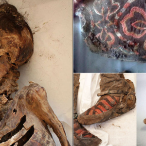 Ancient mummy ‘with 1,100-year-old Adidas boots’ died after she was struck on the head