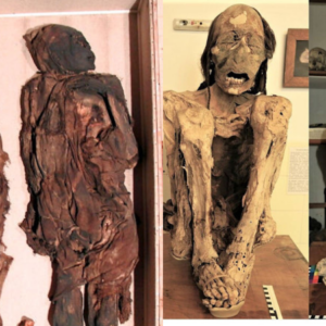 Scientific ‘Detective Work’ With South American Mummies Reveals They Were Brutally Murdered