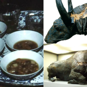 Scientists Ate a Stew From a 50,000-Year-Old Bison to See What It Tastes Like