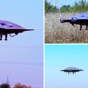 The Real-Life Flying Saucer Glides Across the Field – A Bizarre Sight to See!