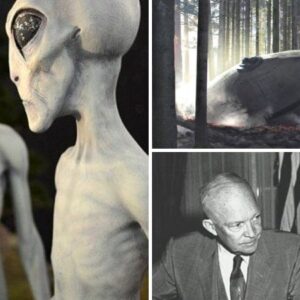 The Area 51 Enigma: Could Alien Civilizations Be the Hidden Key to America’s Technological Advancements?