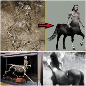 Unveiling Myths: A Half-Human, Half-Horse Skeleton Discovered in Greece Bridges the Gap Between Legend and Reality.