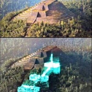 What do you know about Gunung Padang – the extremely mysterious “20 thousand year old Pyramid”?