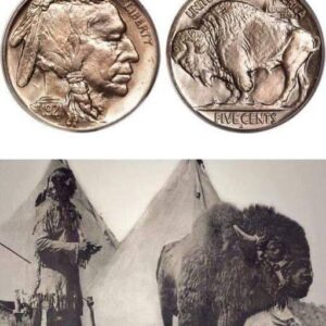 Is it still possible to find buffalo nickels in circulation or in change or roll hunting?