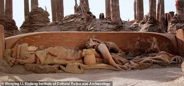 Genetic testing indicates the population was indigenous to the region and direct descendants of Ancient North Eurasians, who disappeared by the end of the last Ice Age. Pictured: A profile view of one of the mummies in Xiaohe