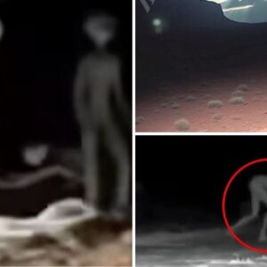 Footage Captures Shocking UFO Crash in New Mexico ???