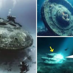 Shocking UFO Artifacts Found in the Ocean’s Depths: Discoveries That Chill the Spine.