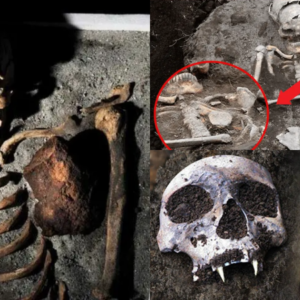 An iron bar was buried next to the Sozopol “vampire skeleton” to prevent its resurrection