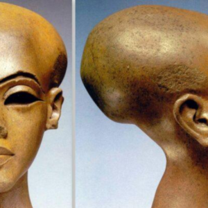 Portrait head of one of the daughters of Akhenaton and Neferтιтi from a composite statue