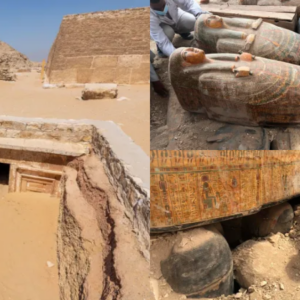 Archaeologists find ancient Middle Kingdom tomb with 11 sealed burials & ‘perfectly intact’ jewellery