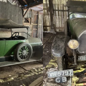 Rare vintage car that sat gathering dust in barn for 40 YEARS hits auction for eye-watering fee