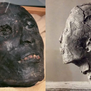 PH๏τos of King Tutankhamun’s mummy, when it was it discovered and the modern day. The eyelids and ears seem to have fallen off, and the skullcap is gone.