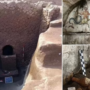 Archaeologists make ‘unprecedented’ discovery after unsealing a 2,000-year-old tomb