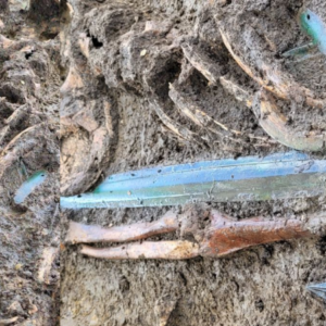 Archaeologists Found A 3000-Year-Old Bronze Sword At A Burial Site In Germany