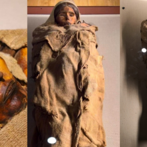 Preserved Beauty: The Enigmatic Mummy of Loulan