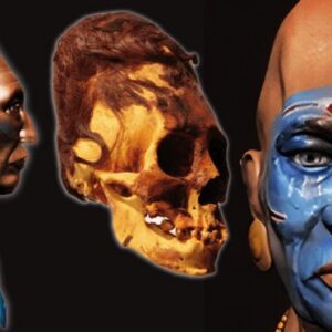 DNA Tests Reveal 3,000-year-old Paracas Skulls Are Of Unknown Human Race