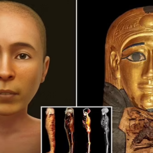 ‘Golden boy’ mummy is revealed after 2,300 years: Scientists recreate the true face of a mysterious teenager who was buried with 49 amulets – including one next to his PENIS