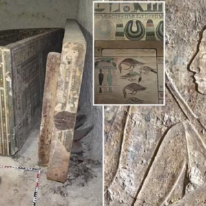 ‘Extraordinary’ burial chamber of an ancient Egyptian priestess is discovered after 4,000 years – as archaeologists uncover a coffin WITHIN another coffin