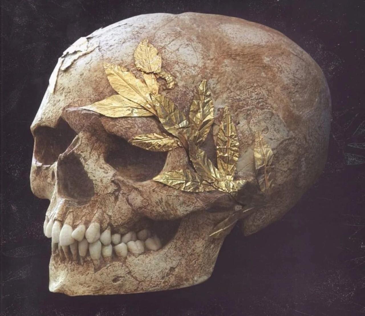 Flesh disintegrated, but wreath remained: skull of crowned athlete found in Greece (pH๏τo)