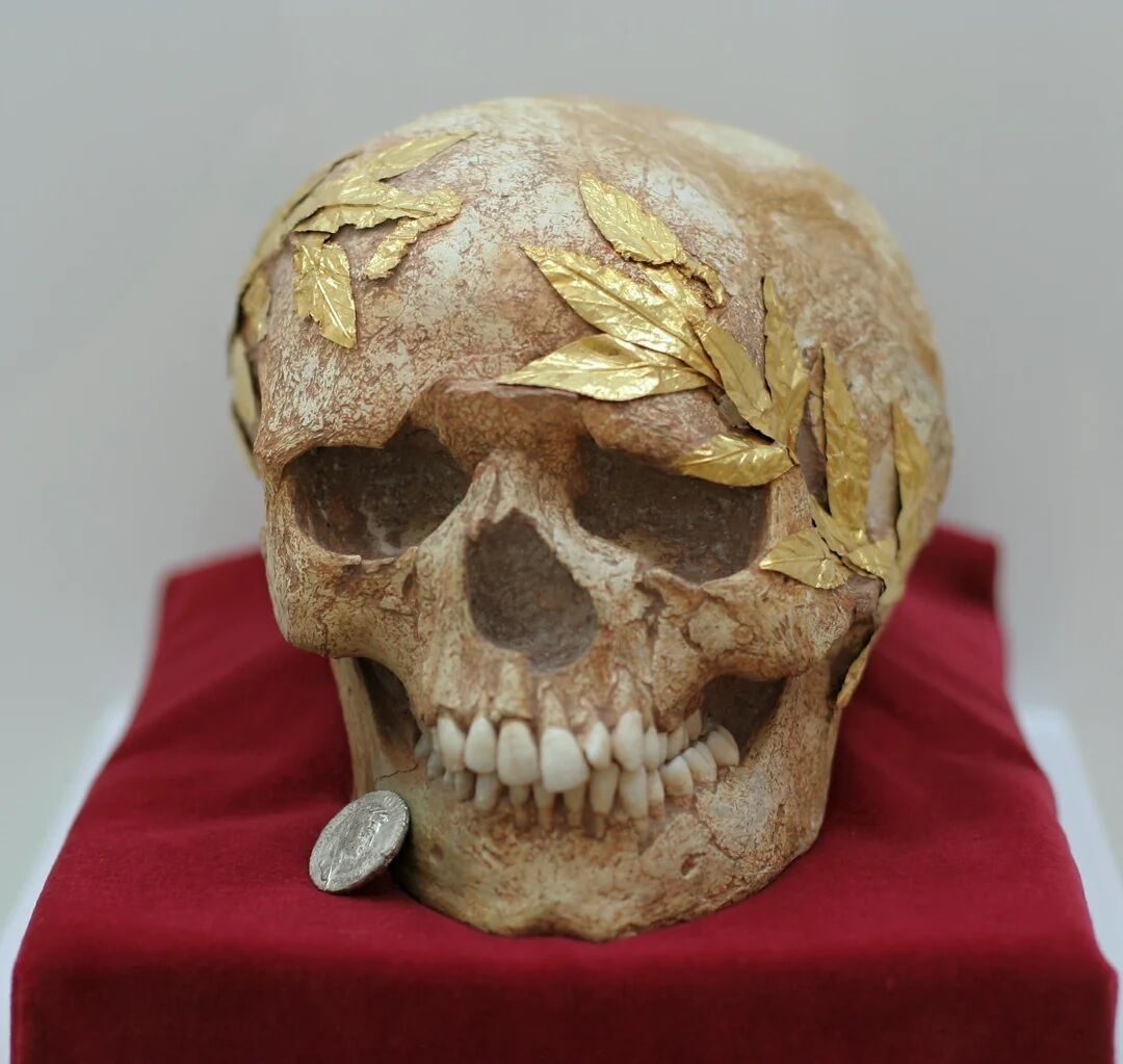 Flesh disintegrated, but wreath remained: skull of crowned athlete found in Greece (pH๏τo)