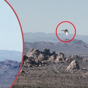 Unidentified Flying Object Spotted over Mount Ryan, California Sparks Fears of Alien Invasion (VIDEO)