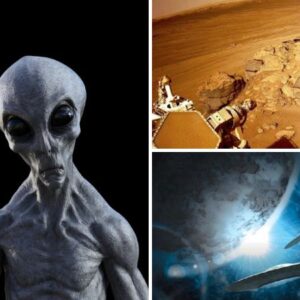 Investigating the Sophisticated Travel Methods of Alien Civilizations: How Extraterrestrials Journey Across the Universe.