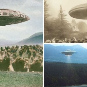 Leading experts debunk common myths about the likelihood of alien invasions.