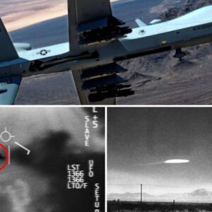 UFO vs. A-10 Warthog: Astonishing Aerial Clash Leaves Experts in Awe!