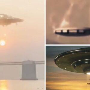 Captivating the Skies: Exploring the Rise of UFO Sightings Worldwide.