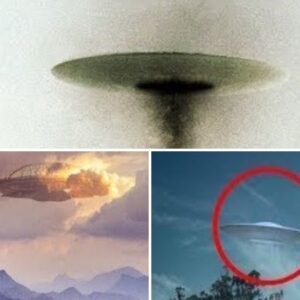 Mysterious Moments Captured by Witnesses During UFO Sightings in the Sky.