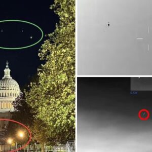 A thermal video reveals a ‘pair of UFOs’ soaring over California.