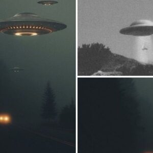 Government Documents and UFO Shapes: Unveiling Declassified Reports and Craft Designs.