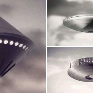 Exploring UFOs: Theories and Evidence of Extraterrestrial Life Residing in Cosmic Habitats.