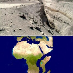 A New Ocean Is Forming in Africa Along a 35-Mile Crack That Opened Up in Ethiopia in 2005