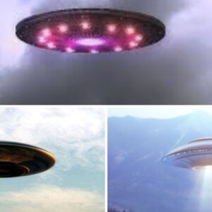 Explosive Revelations: Government Whistleblowers Reveal Decades of UFO and Alien Cover-Ups.