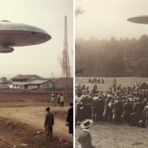 UFOs Circle the Sky Before Landing: What Was Their Purpose?