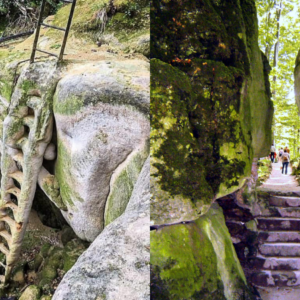 A petrified ladder is hidden in the Baume-les-Messieurs valley