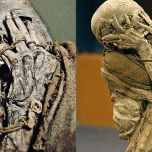 A Chachapoya Mummy dating between the 9th and 15th century, found in the Laguna de los Cóndores, currently in the Museum of Leymebamba, Peru.