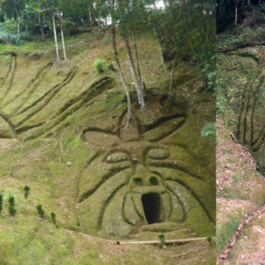 Archaeologists have discovered a series of cities lost in the Amazon rainforest that housed at least 10,000 people about 2,000 years ago.