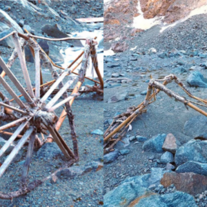 A Frozen Enigma: Bamboo Cart Unearthed in Swiss Glacier