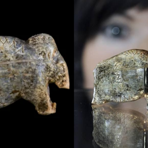 A woman views what is claimed to be the oldest known art work of mankind, at the Neanderthal Museum in Mettmann, western Germany, Friday, Nov. 19, 2010.