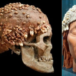 The skull of “Donna del Caviglione” (Woman of Caviglione cave), found at the Late Palaeolithic burial of Cave Caviglione (Balzi Rossi), Italy.