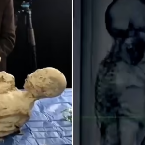 Mystery of Peru’s’ ‘alien mummies’ deepens after two more corpses are found with slanted eyes and hair