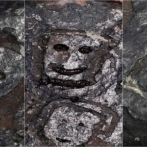 Brazil drought reveals ancient facial drawings in Amazon River